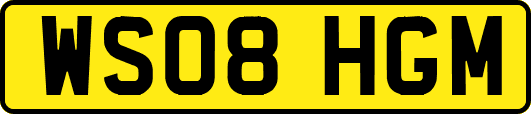 WS08HGM