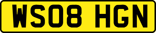 WS08HGN