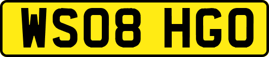 WS08HGO