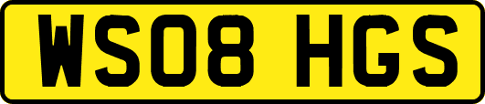 WS08HGS