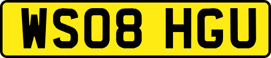 WS08HGU