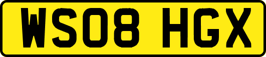 WS08HGX