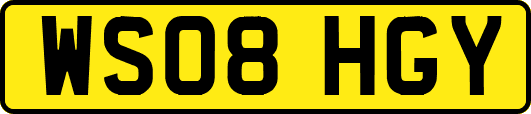 WS08HGY
