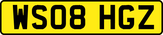 WS08HGZ