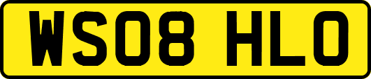 WS08HLO