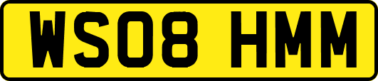 WS08HMM