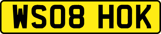 WS08HOK