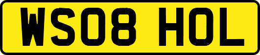 WS08HOL