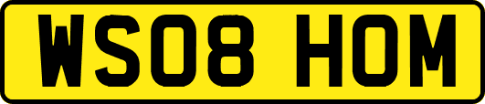 WS08HOM