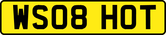 WS08HOT