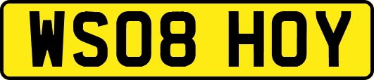 WS08HOY