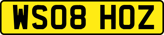 WS08HOZ