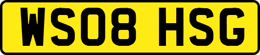 WS08HSG