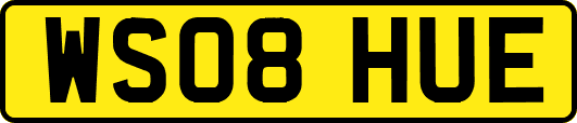 WS08HUE