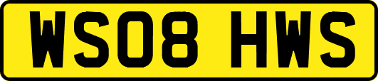 WS08HWS