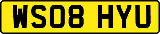 WS08HYU