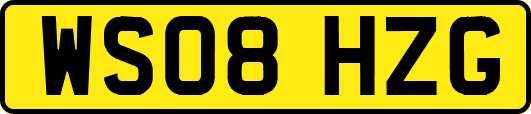 WS08HZG