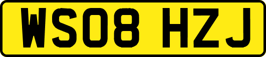 WS08HZJ