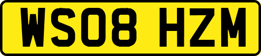 WS08HZM