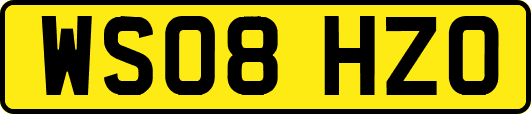 WS08HZO