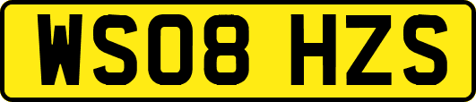WS08HZS