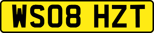 WS08HZT