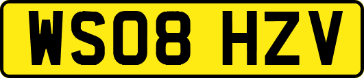 WS08HZV