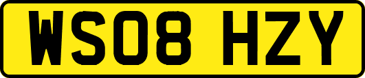 WS08HZY