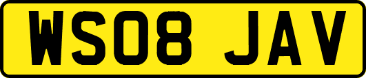 WS08JAV