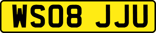 WS08JJU