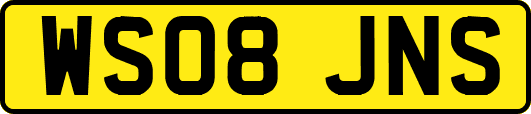 WS08JNS