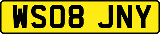 WS08JNY