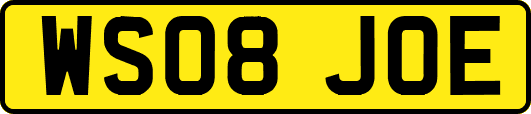 WS08JOE