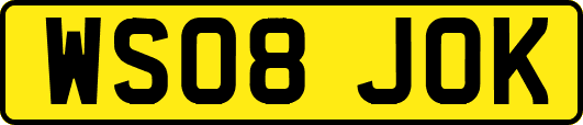 WS08JOK