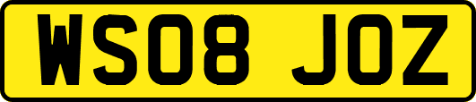 WS08JOZ