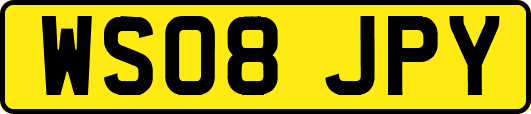 WS08JPY