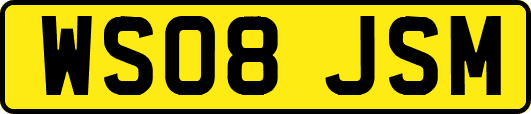 WS08JSM