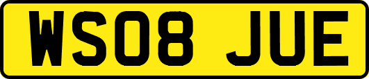 WS08JUE