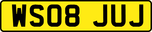 WS08JUJ