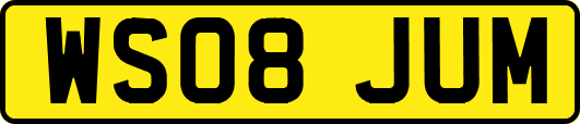 WS08JUM