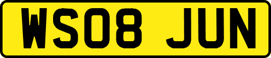 WS08JUN