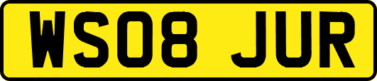 WS08JUR