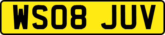 WS08JUV