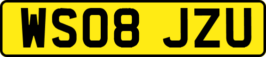 WS08JZU