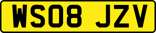 WS08JZV