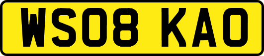 WS08KAO