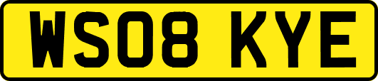 WS08KYE