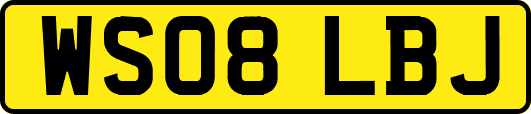 WS08LBJ