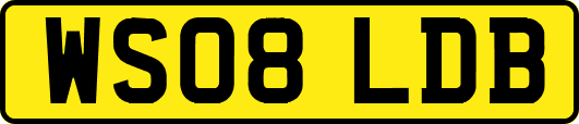 WS08LDB