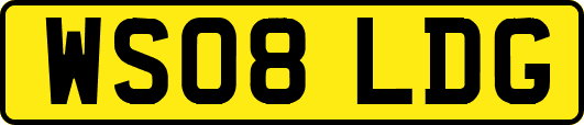 WS08LDG